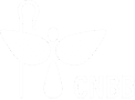 CNBB